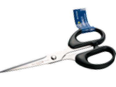 Stainless steel scissors